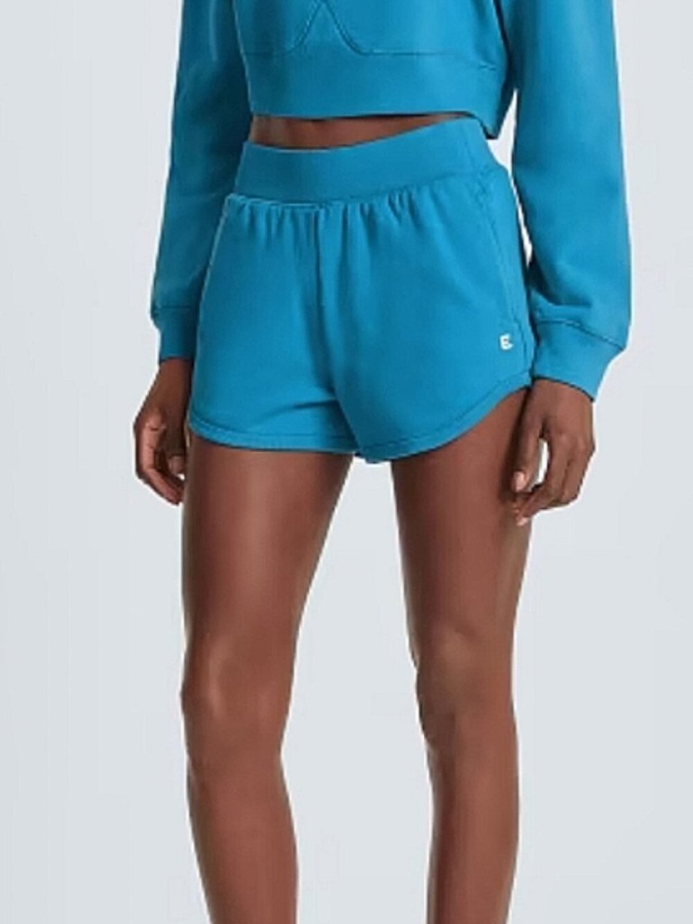 Everlane Blue Sweatshort